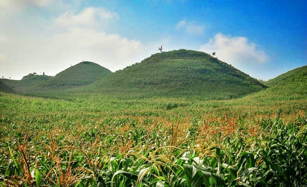 Bukit teletubbies gunung kidul